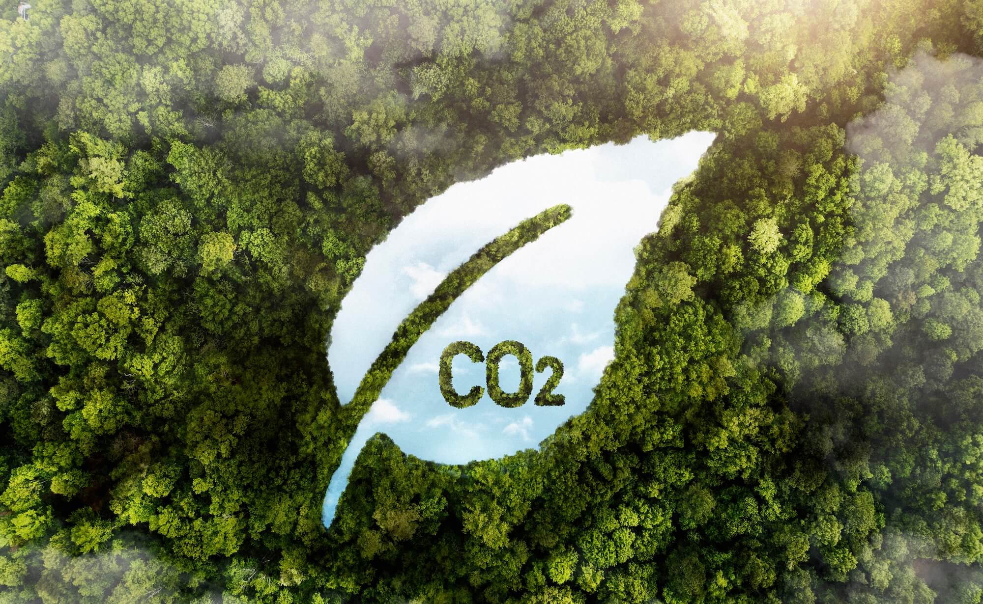 Understanding Scope 1, 2, and 3 Emissions: What They Are and Why They Matter